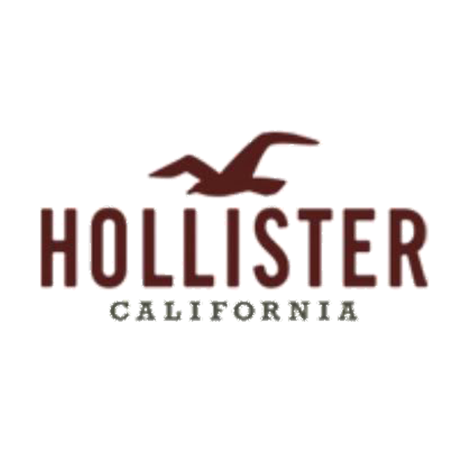 Hollister Co. códigos descuento