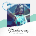 PRODUCTOS STRADIVARIUS