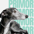 PRIMOR PETS