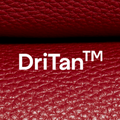 DRITAN