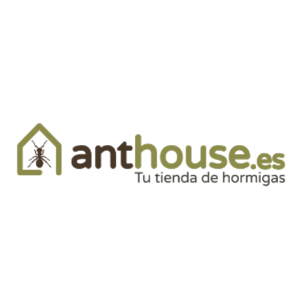 Anthouse códigos descuento